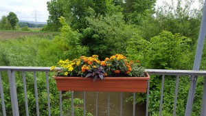 20160524_091411