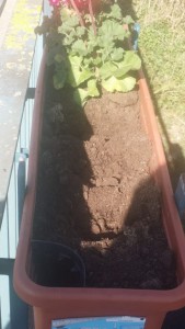 IMG-20180407-WA0004