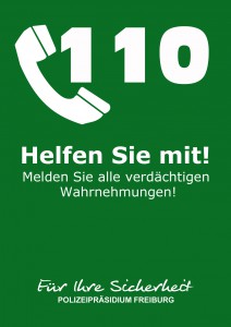 Einbruch Rück Grün 2018